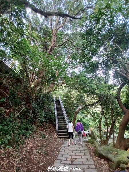 20220618_162547.jpg 20220618_162547.jpg