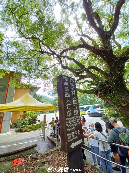 【台北北投】搭捷運公車爬山趣。 No1小百岳_大屯山主峰步道