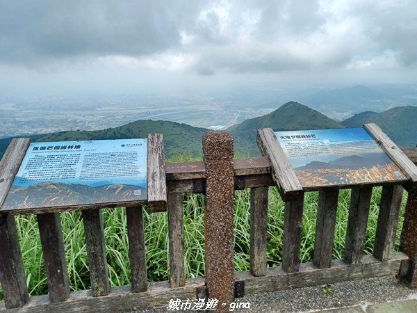 【台北北投】搭捷運公車爬山趣。 No1小百岳_大屯山主峰步道