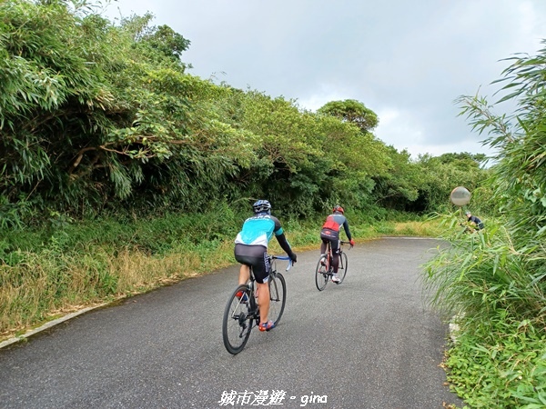 【台北北投】搭捷運公車爬山趣。 No1小百岳_大屯山主峰步道