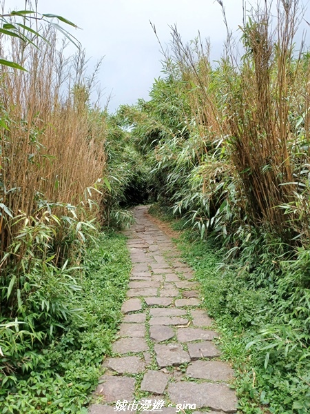 20220625_120021.jpg 20220625_120021.jpg