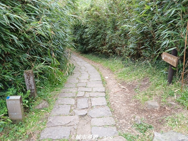 20220625_115954.jpg 20220625_115954.jpg