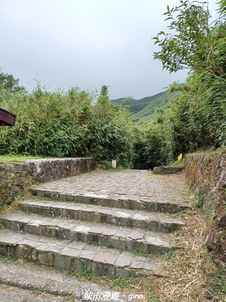 20220625_115940.jpg 20220625_115940.jpg