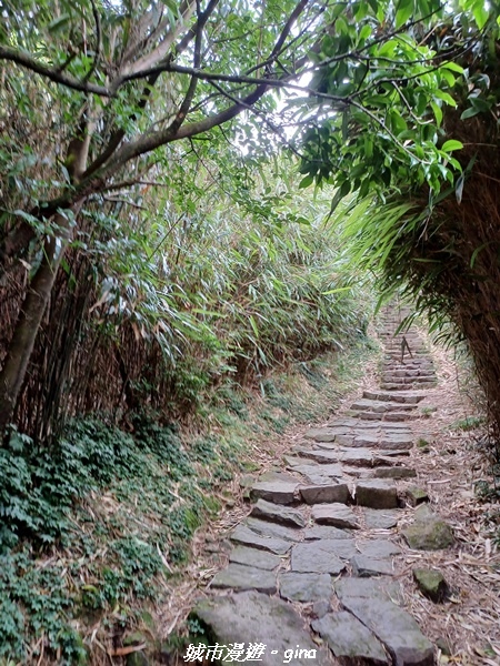 20220625_120120.jpg 20220625_120120.jpg