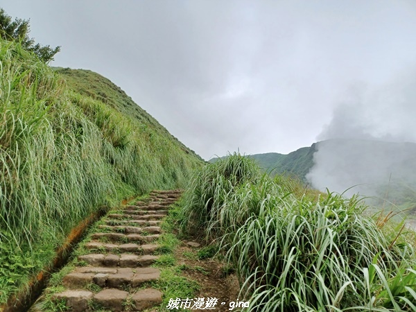 【台北北投】搭捷運公車爬山趣。 No2小百岳_七星山步道