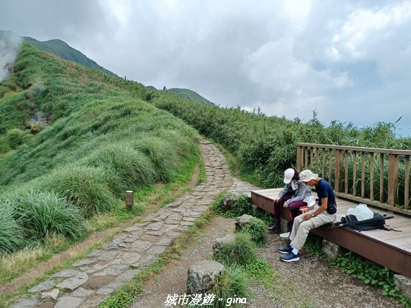 【台北北投】搭捷運公車爬山趣。 No2小百岳_七星山步道