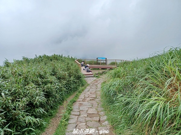 20220625_122141.jpg 20220625_122141.jpg