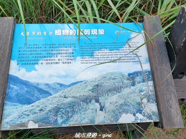 20220625_122519.jpg 20220625_122519.jpg