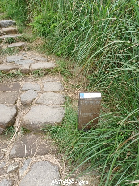 20220625_122616.jpg 20220625_122616.jpg