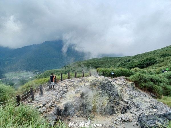 【台北北投】搭捷運公車爬山趣。 No2小百岳_七星山步道