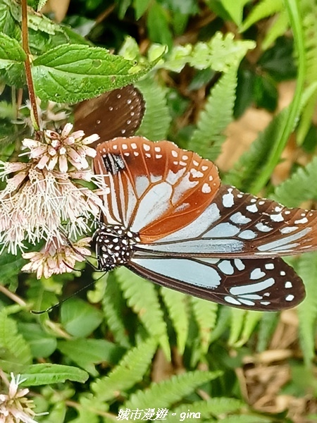 20220625_123430.jpg 20220625_123430.jpg