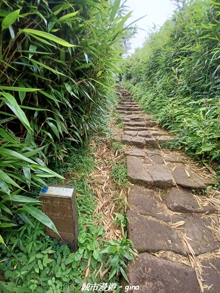 20220625_123743.jpg 20220625_123743.jpg