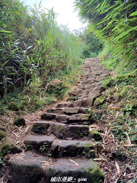 【台北北投】搭捷運公車爬山趣。 No2小百岳_七星山步道