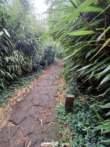 20220625_124845.jpg 20220625_124845.jpg