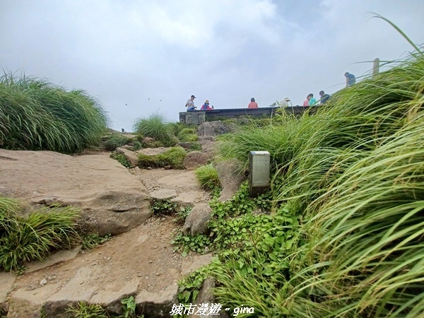 20220625_125614.jpg 20220625_125614.jpg