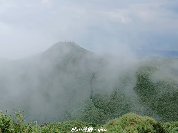 20220625_125902.jpg 20220625_125902.jpg