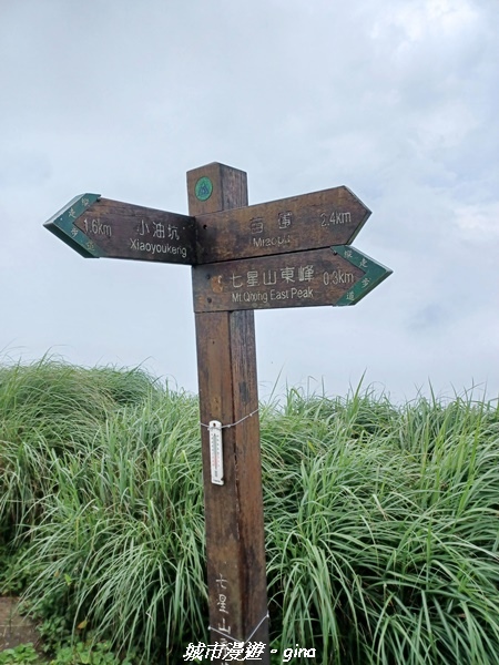 【台北北投】搭捷運公車爬山趣。 No2小百岳_七星山步道