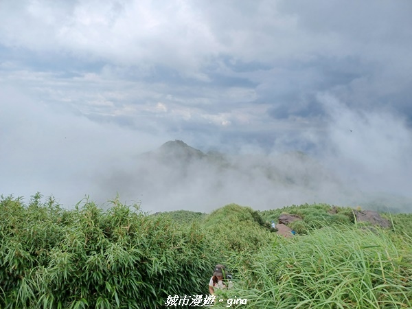 【台北北投】搭捷運公車爬山趣。 No2小百岳_七星山步道