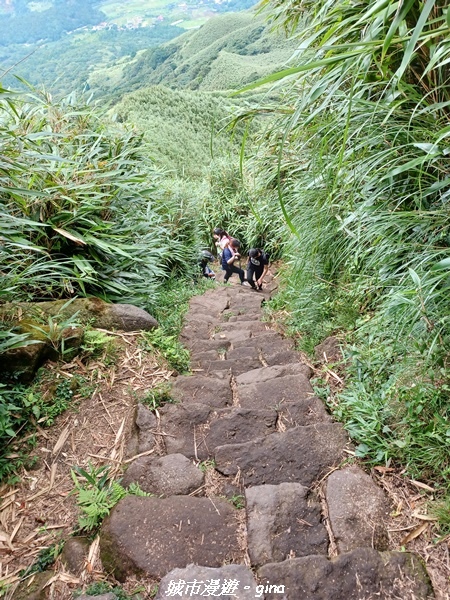 【台北北投】搭捷運公車爬山趣。 No2小百岳_七星山步道