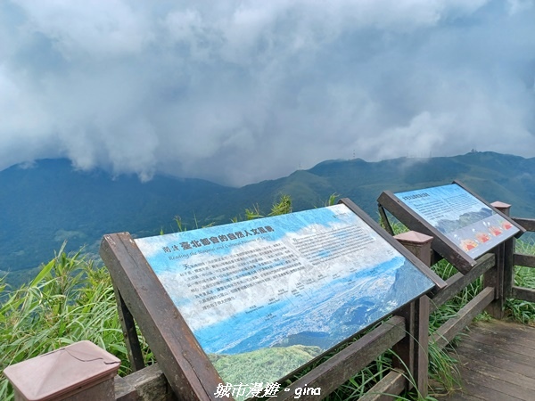 【台北北投】搭捷運公車爬山趣。 No2小百岳_七星山步道