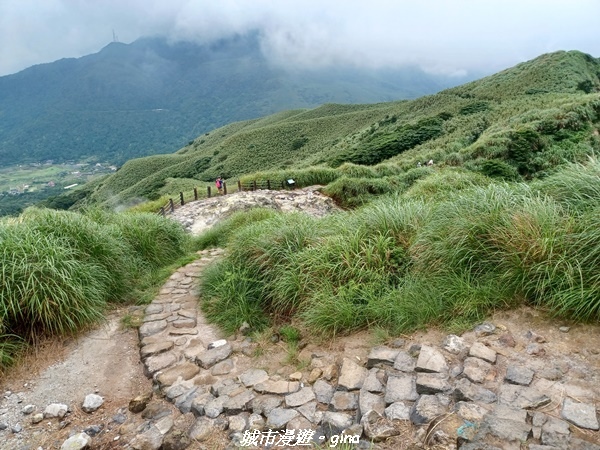 20220625_133811.jpg 20220625_133811.jpg