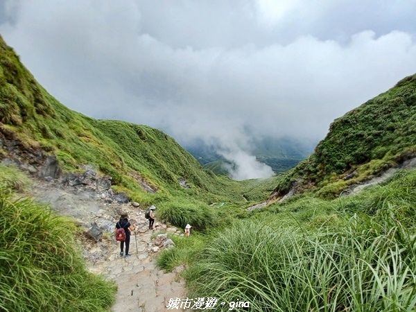 20220625_134511.jpg 20220625_134511.jpg