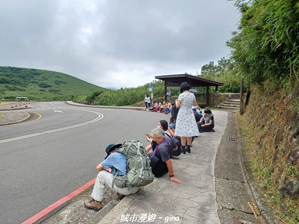 【台北北投】搭捷運公車爬山趣。 No2小百岳_七星山步道