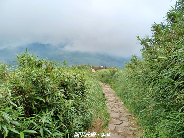 20220625_134154.jpg 20220625_134154.jpg