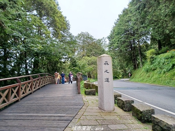 【嘉義阿里山鄉】 在雲霧中汲取滿滿的芬多精。 小百岳集起來。