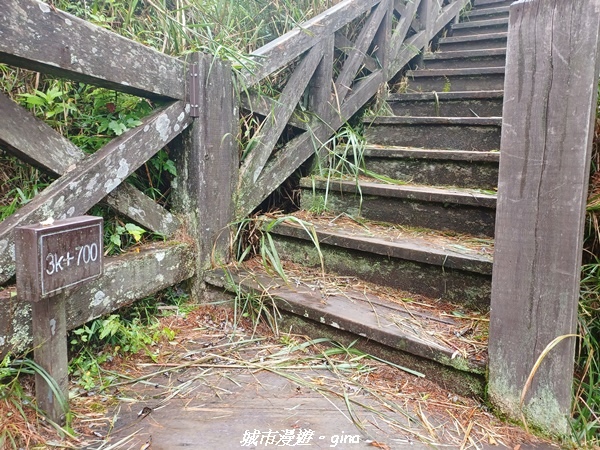 【嘉義阿里山鄉】 在雲霧中汲取滿滿的芬多精。 小百岳集起來。