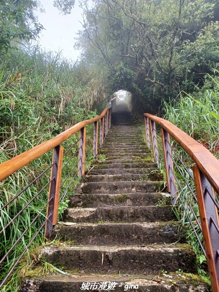 【嘉義阿里山鄉】 在雲霧中汲取滿滿的芬多精。 小百岳集起來。