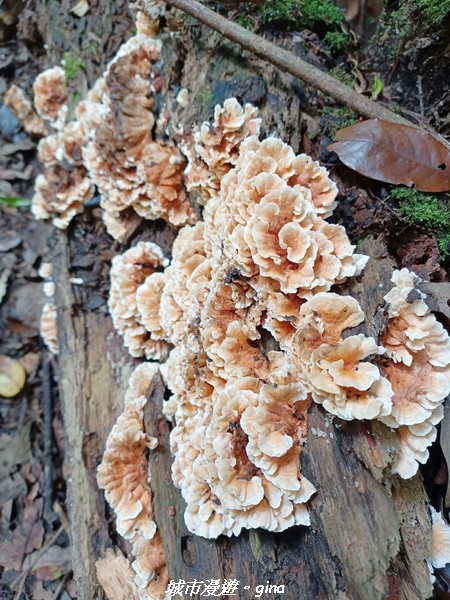 20220716_082122.jpg 20220716_082122.jpg