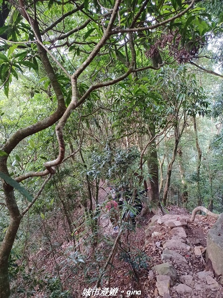 20220716_083246.jpg