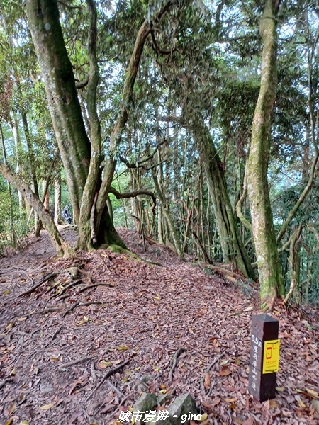 20220716_083138.jpg 20220716_083138.jpg