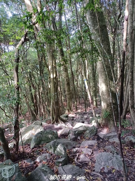 20220716_090137.jpg 20220716_090137.jpg