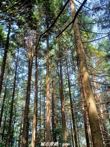 20220716_090524.jpg 20220716_090524.jpg