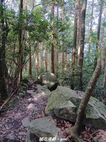 20220716_090721.jpg 20220716_090721.jpg