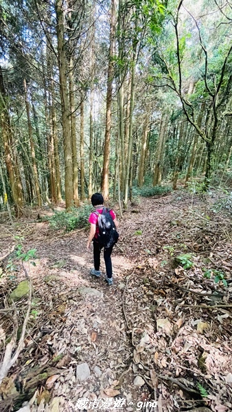 20220716_091010.jpg 20220716_091010.jpg