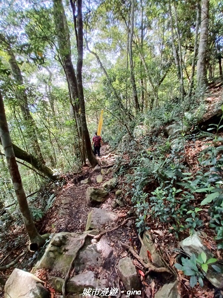 20220716_091507.jpg 20220716_091507.jpg