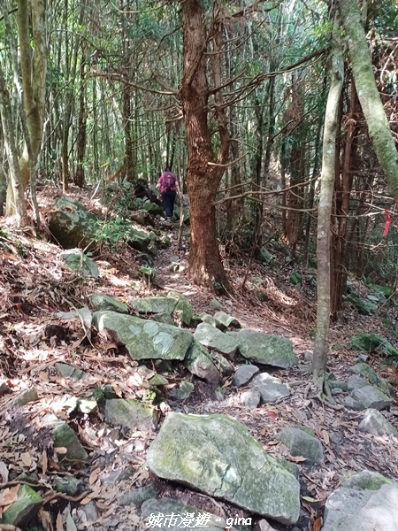 20220716_091252.jpg 20220716_091252.jpg