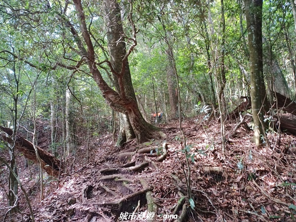 20220716_092810.jpg 20220716_092810.jpg