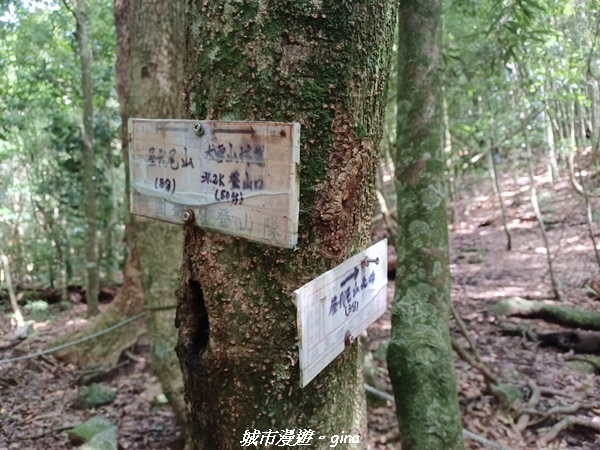 20220716_092601.jpg 20220716_092601.jpg