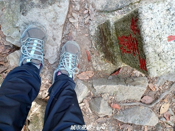 20220716_093839.jpg 20220716_093839.jpg