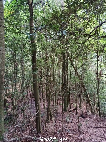 20220716_102747.jpg 20220716_102747.jpg