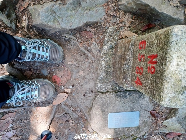 20220716_093829.jpg 20220716_093829.jpg