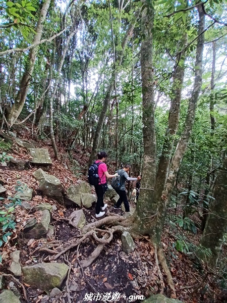 20220716_103950.jpg 20220716_103950.jpg