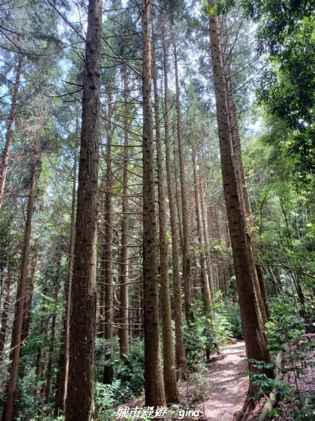 20220716_105123.jpg 20220716_105123.jpg