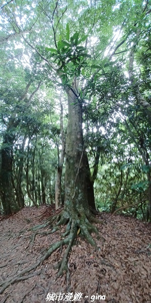 20220716_111922.jpg 20220716_111922.jpg