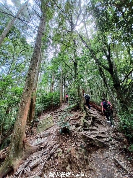 20220716_105954.jpg 20220716_105954.jpg