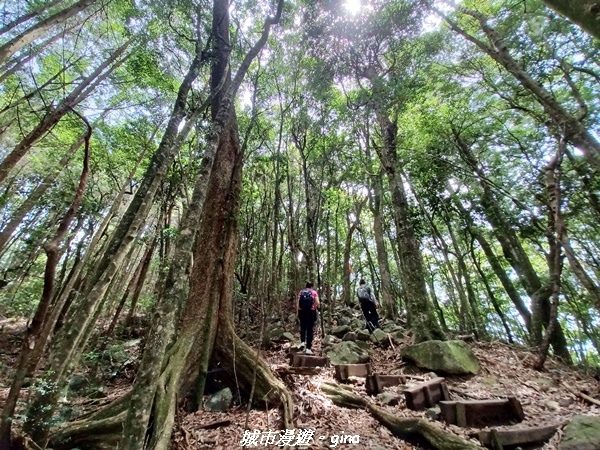 20220716_105725.jpg 20220716_105725.jpg